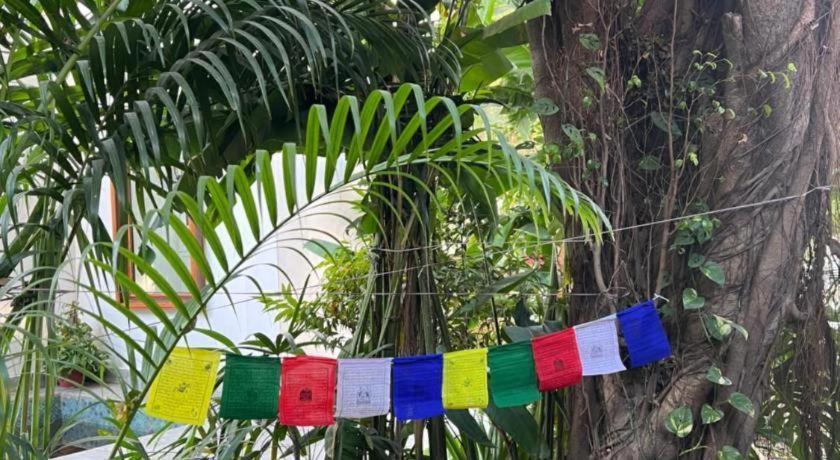 Готель Club Denovo Butwal Екстер'єр фото