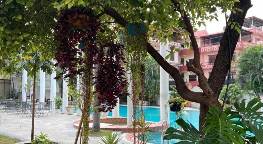 Готель Club Denovo Butwal Екстер'єр фото